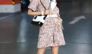 香奈儿普雷斯顿资料